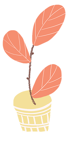 DƬ