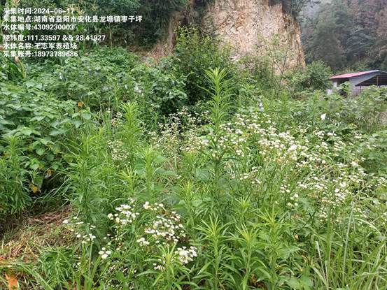 王志軍養(yǎng)殖場(chǎng)