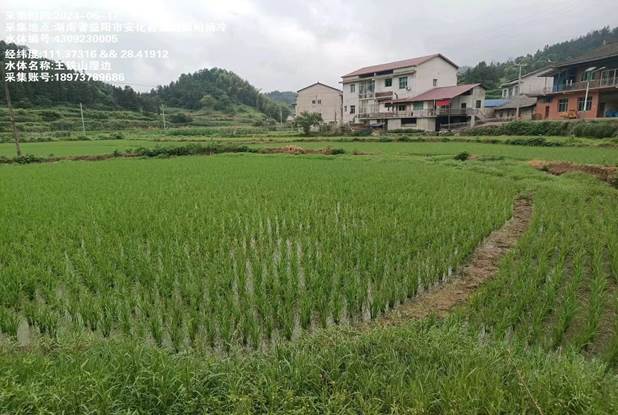 王鐵山 (3)