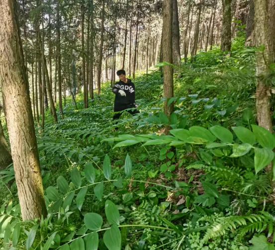 DƬ