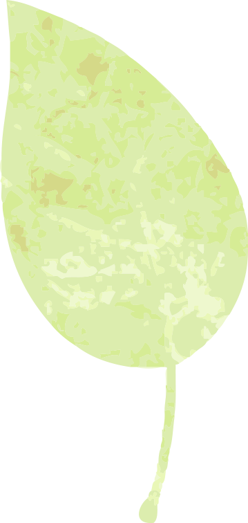 DƬ
